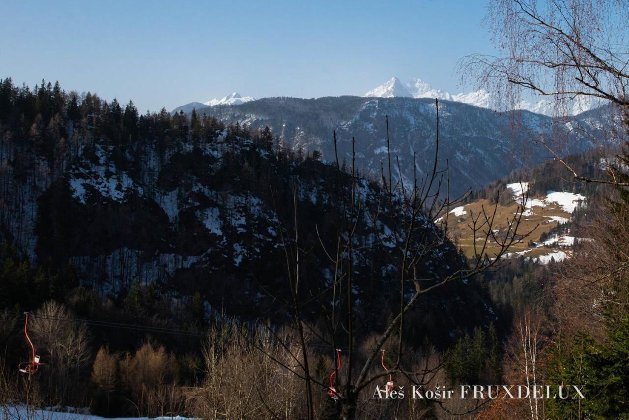 Pet & Family Friendly House Viktorija - House Near Golica With Triglav View Casa vacanze Jesenice