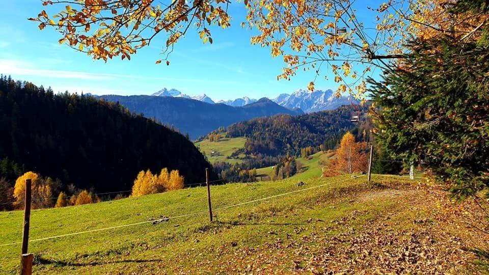 Ferienhaus Pet & Family Friendly House Viktorija - House Near Golica With Triglav View