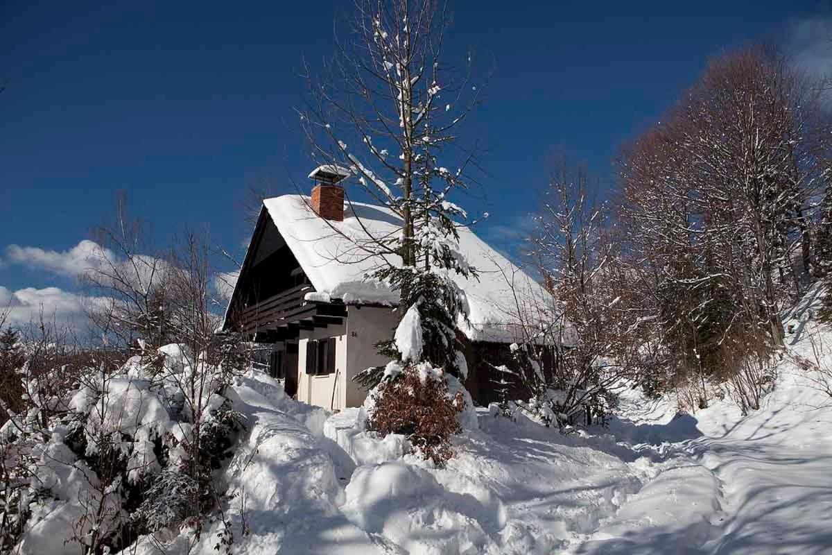 Casa vacanze Pet & Family Friendly House Viktorija - House Near Golica With Triglav View *