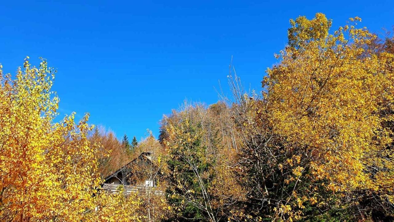 Ferienhaus Pet & Family Friendly House Viktorija - House Near Golica With Triglav View